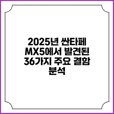 2025년 싼타페 MX5에서 발견된 36가지 주요 결함 분석