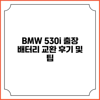 BMW 530i 출장 배터리 교환 후기 및 팁