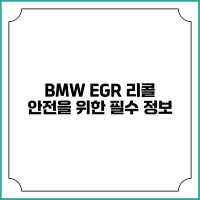 BMW EGR 리콜: 안전을 위한 필수 정보