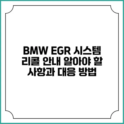BMW EGR 시스템 리콜 안내: 알아야 할 사항과 대응 방법