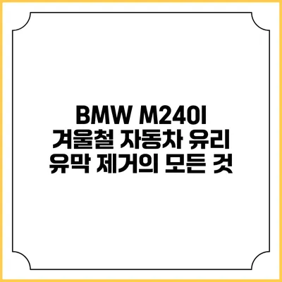 BMW M240I 겨울철 자동차 유리 유막 제거의 모든 것