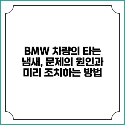 BMW 차량의 타는 냄새, 문제의 원인과 미리 조치하는 방법