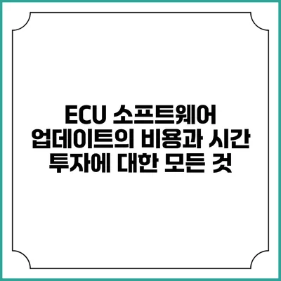 ECU 소프트웨어 업데이트의 비용과 시간 투자에 대한 모든 것