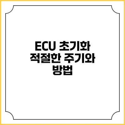 ECU 초기화: 적절한 주기와 방법