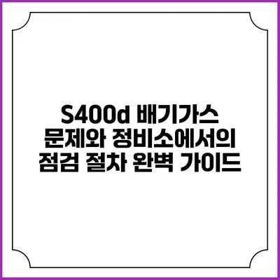 S400d 배기가스 문제와 정비소에서의 점검 절차 완벽 가이드