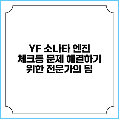 YF 소나타 엔진 체크등 문제 해결하기 위한 전문가의 팁