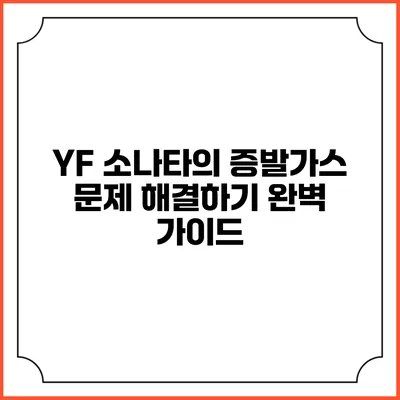 YF 소나타의 증발가스 문제 해결하기: 완벽 가이드