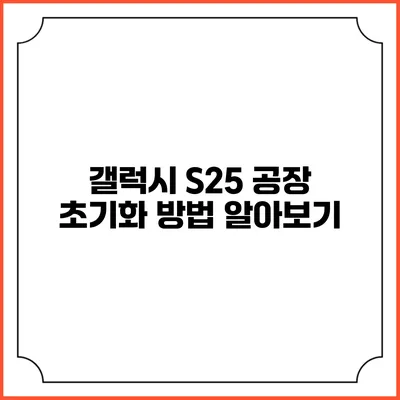 갤럭시 S25 공장 초기화 방법 알아보기