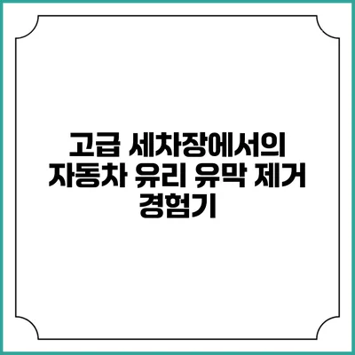 고급 세차장에서의 자동차 유리 유막 제거 경험기
