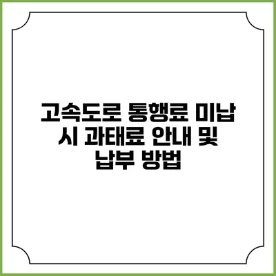 고속도로 통행료 미납 시 과태료 안내 및 납부 방법