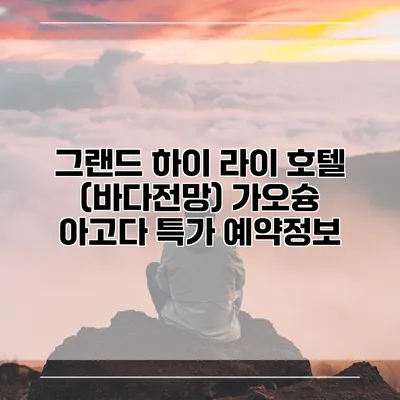 그랜드 하이 라이 호텔 (바다전망) 가오슝 아고다 특가 예약정보