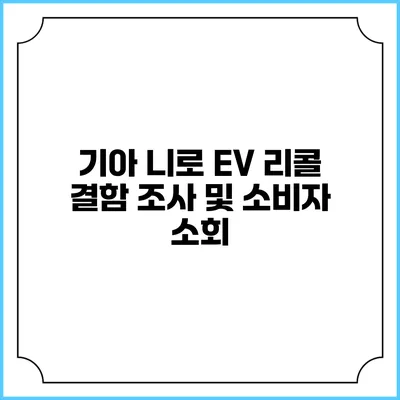 기아 니로 EV 리콜: 결함 조사 및 소비자 소회
