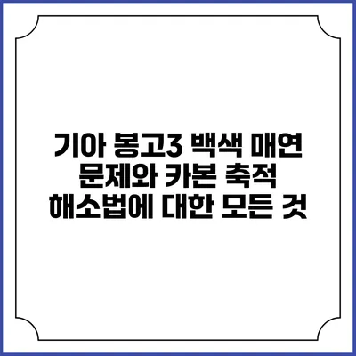 기아 봉고3 백색 매연 문제와 카본 축적 해소법에 대한 모든 것