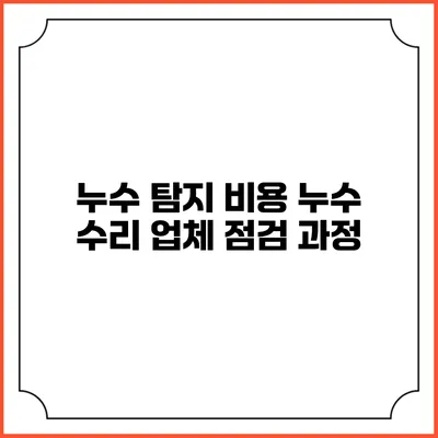 누수 탐지 비용 누수 수리 업체 점검 과정