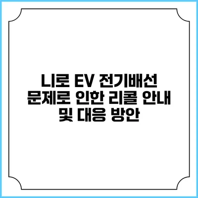 니로 EV 전기배선 문제로 인한 리콜 안내 및 대응 방안
