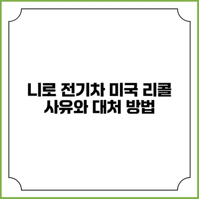 니로 전기차 미국 리콜 사유와 대처 방법