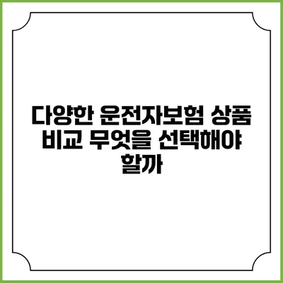 다양한 운전자보험 상품 비교 무엇을 선택해야 할까?