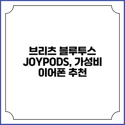 브리츠 블루투스 JOYPODS, 가성비 이어폰 추천