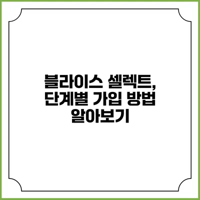 블라이스 셀렉트, 단계별 가입 방법 알아보기