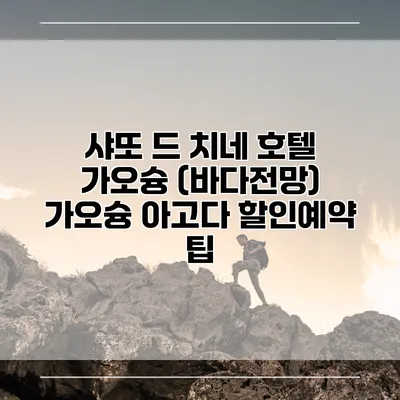 샤또 드 치네 호텔 가오슝 (바다전망) 가오슝 아고다 할인예약 팁