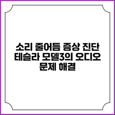 소리 줄어듬 증상 진단 테슬라 모델3의 오디오 문제 해결