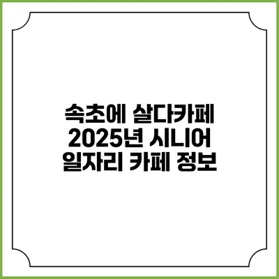 속초에 살다카페 2025년 시니어 일자리 카페 정보