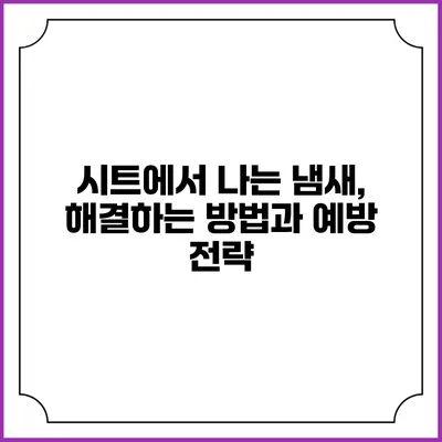 시트에서 나는 냄새, 해결하는 방법과 예방 전략