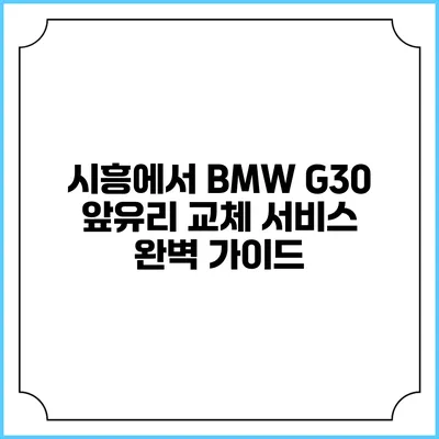 시흥에서 BMW G30 앞유리 교체 서비스 완벽 가이드