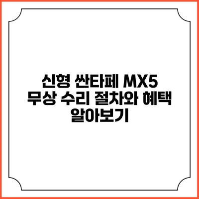 신형 싼타페 MX5 무상 수리 절차와 혜택 알아보기