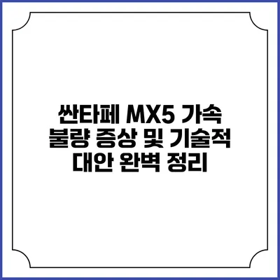 싼타페 MX5 가속 불량 증상 및 기술적 대안 완벽 정리