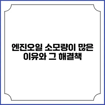 엔진오일 소모량이 많은 이유와 그 해결책
