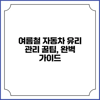 여름철 자동차 유리 관리 꿀팁, 완벽 가이드