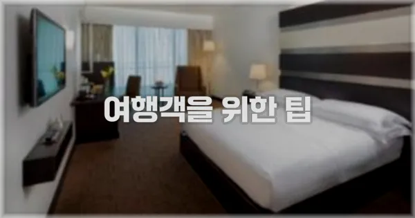 여행객을 위한 팁