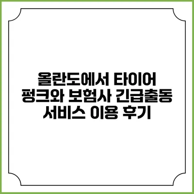 올란도에서 타이어 펑크와 보험사 긴급출동 서비스 이용 후기