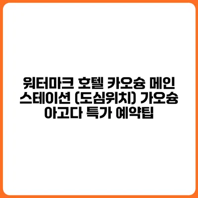 워터마크 호텔 카오슝 메인 스테이션 (도심위치) 가오슝 아고다 특가 예약팁