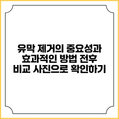 유막 제거의 중요성과 효과적인 방법: 전후 비교 사진으로 확인하기