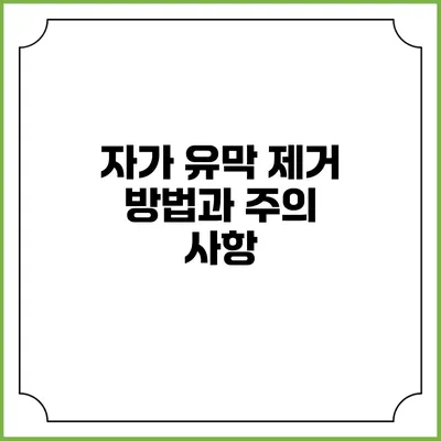 자가 유막 제거 방법과 주의 사항