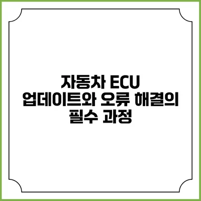 자동차 ECU 업데이트와 오류 해결의 필수 과정