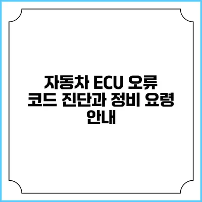 자동차 ECU 오류 코드 진단과 정비 요령 안내