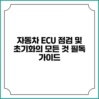 자동차 ECU 점검 및 초기화의 모든 것: 필독 가이드
