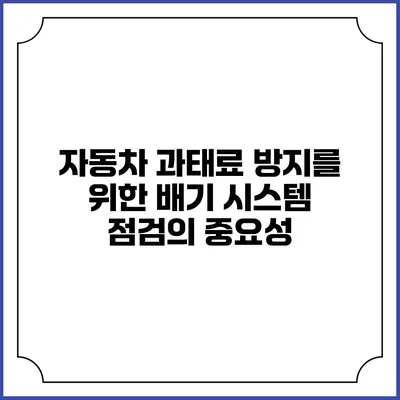 자동차 과태료 방지를 위한 배기 시스템 점검의 중요성