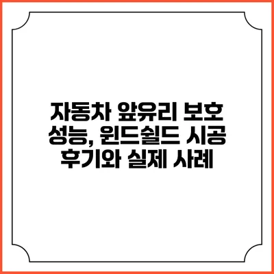 자동차 앞유리 보호 성능, 윈드쉴드 시공 후기와 실제 사례