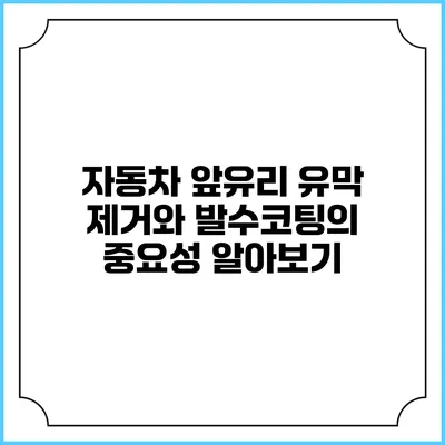자동차 앞유리 유막 제거와 발수코팅의 중요성 알아보기