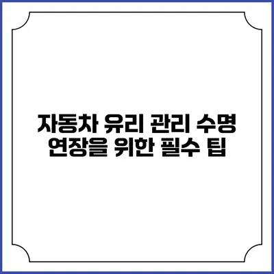 자동차 유리 관리 수명 연장을 위한 필수 팁