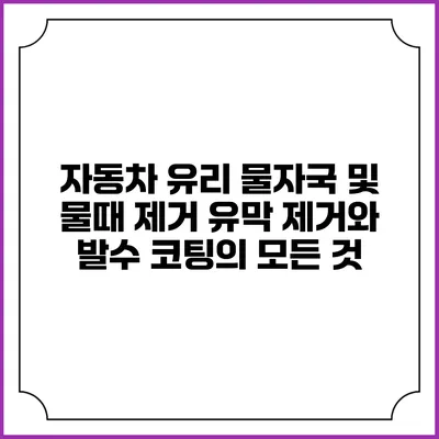 자동차 유리 물자국 및 물때 제거: 유막 제거와 발수 코팅의 모든 것
