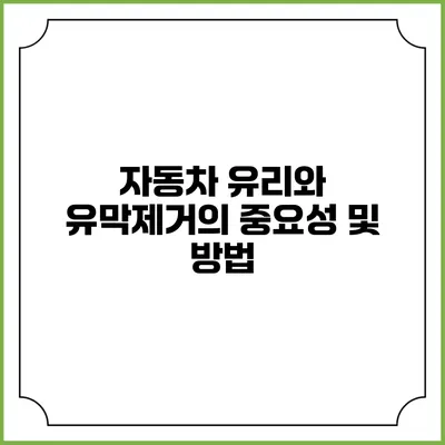 자동차 유리와 유막제거의 중요성 및 방법
