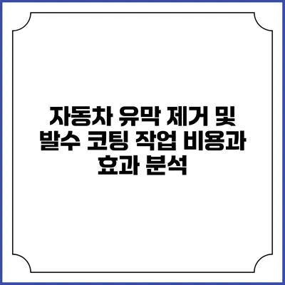 자동차 유막 제거 및 발수 코팅 작업: 비용과 효과 분석