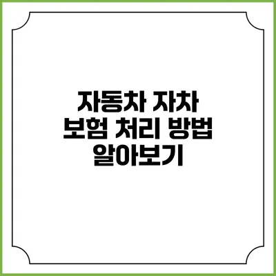 자동차 자차 보험 처리 방법 알아보기