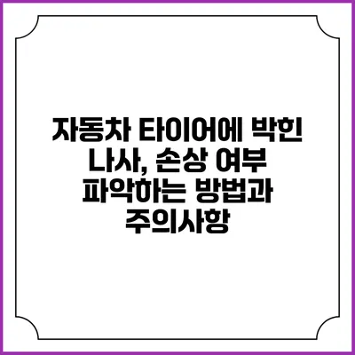 자동차 타이어에 박힌 나사, 손상 여부 파악하는 방법과 주의사항