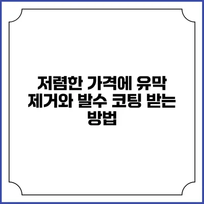 저렴한 가격에 유막 제거와 발수 코팅 받는 방법